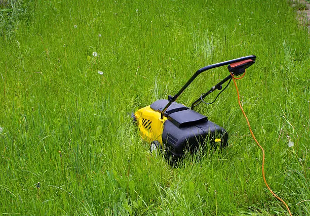 Can you mow wet grass Tuscaloosa, AL