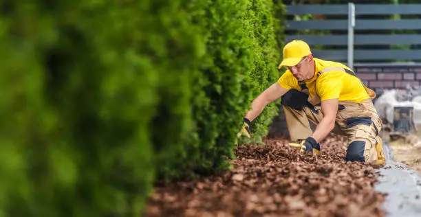 How Long Does Mulch Last Tuscaloosa, AL