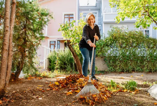 How To Clean A Backyard in Tuscaloosa, AL