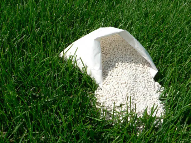 How often should you fertilize your lawn Tuscaloosa, AL