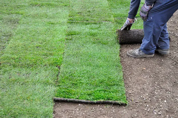 How to lay sod over existing lawn in Tuscaloosa, AL