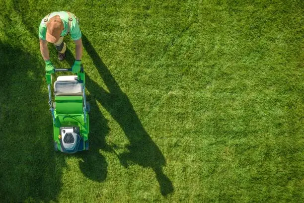 How to mow a lawn in Tuscaloosa, AL