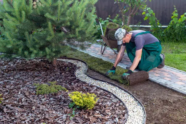 Sod Installation