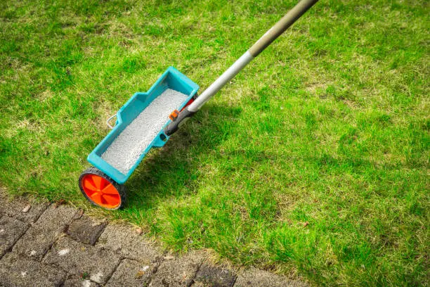 When is the best time to fertilize your lawn Tuscaloosa, AL