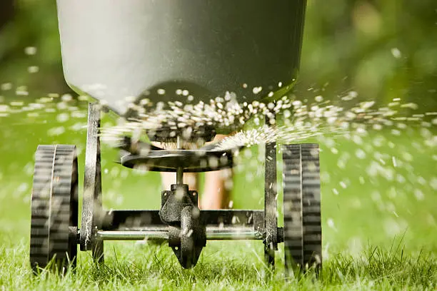 When is the best time to fertilize your lawn in Tuscaloosa, AL