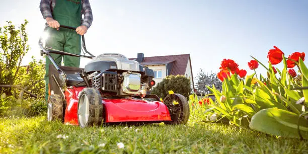 Lawn Mowing in Tuscaloosa, AL