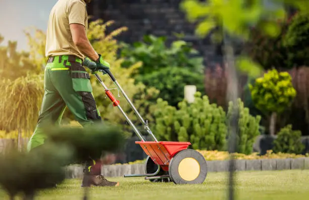 Reliable Lawn Fertilization in Tuscaloosa, AL