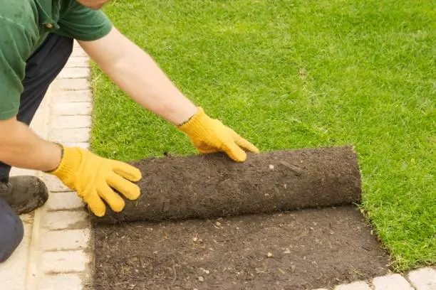 Sod Installation St Tuscaloosa, AL